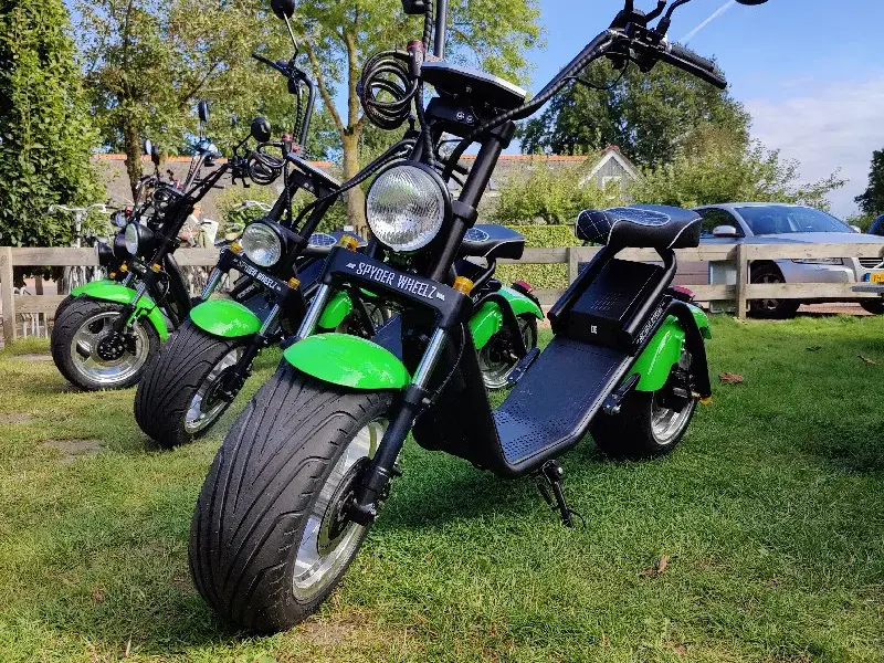 Weerribben Chopper Après-midi